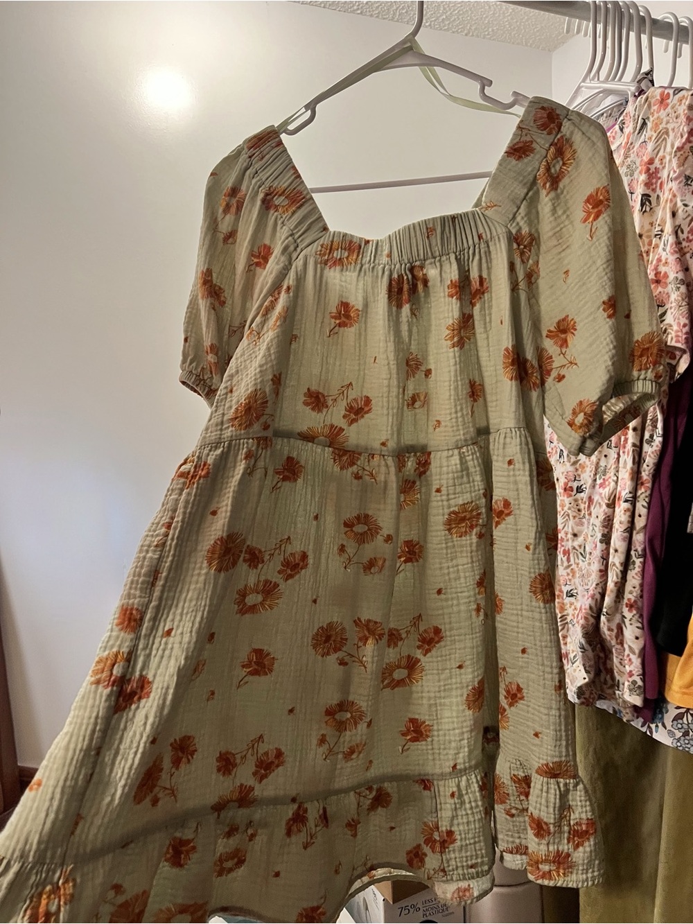 Wonderly Sage Green Floral Smocked Dress with Rust Accents